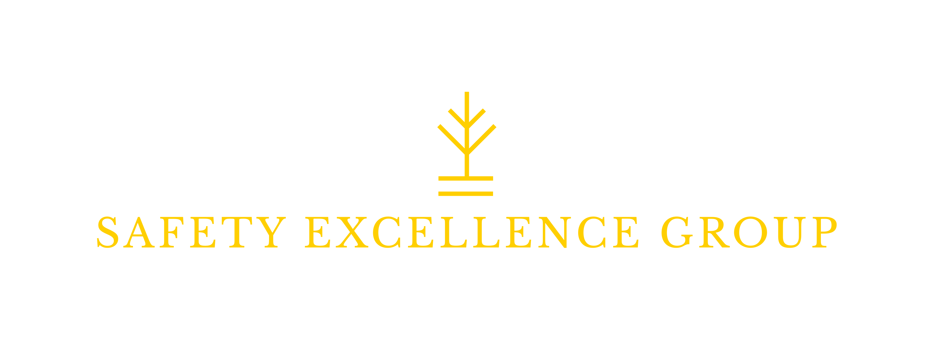 Safety Excellence Group